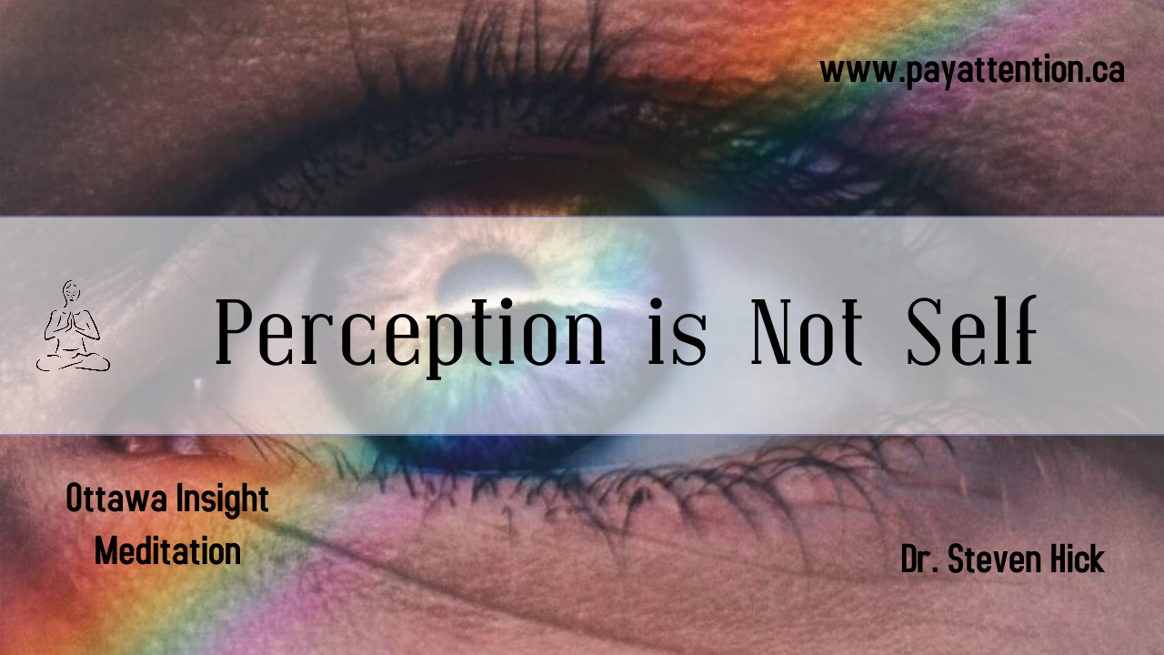 Experiencing No Self 18: Perceptions Create Your World and Cause Suffering