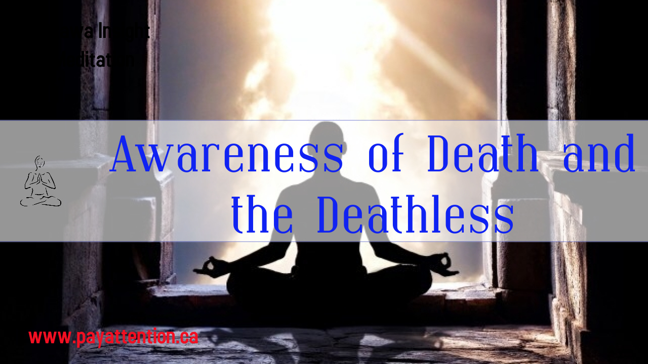 Experiencing No Self 15: Awareness of Death and the Deathless